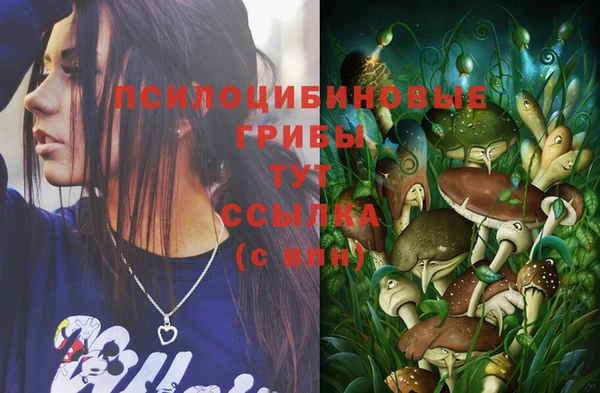 стаф Белоозёрский
