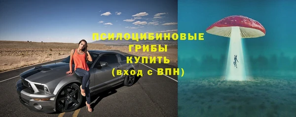 бошки Белокуриха