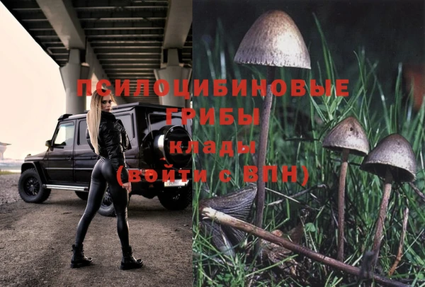 стаф Белоозёрский
