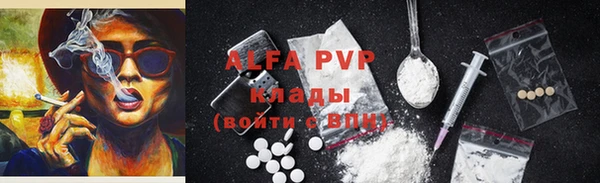 бошки Белокуриха