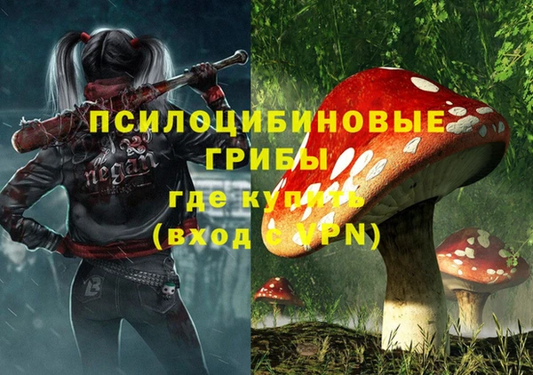 бошки Белокуриха